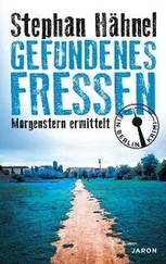 Stephan Hähnel - Gefundenes Fressen