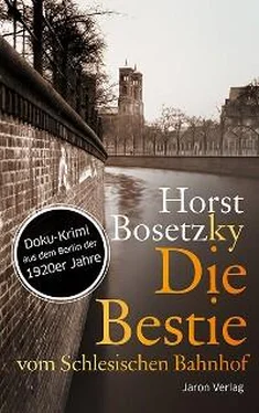 Horst Bosetzky Die Bestie vom Schlesischen Bahnhof обложка книги