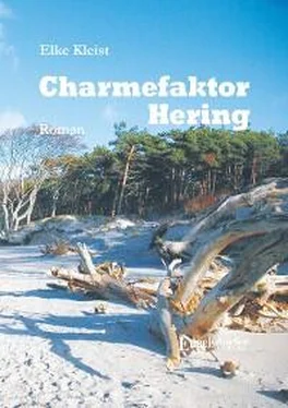 Elke Kleist Charmefaktor Hering обложка книги