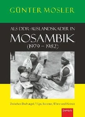 Günter Mosler Als DDR-Auslandskader in Mosambik (1979 – 1982) обложка книги
