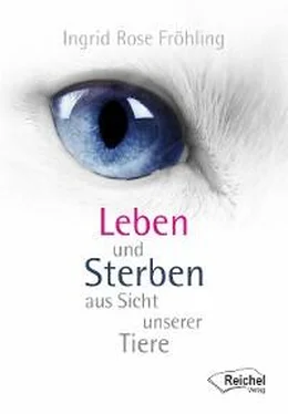 Ingrid Rose Fröhling Leben und Sterben aus Sicht unserer Tiere обложка книги