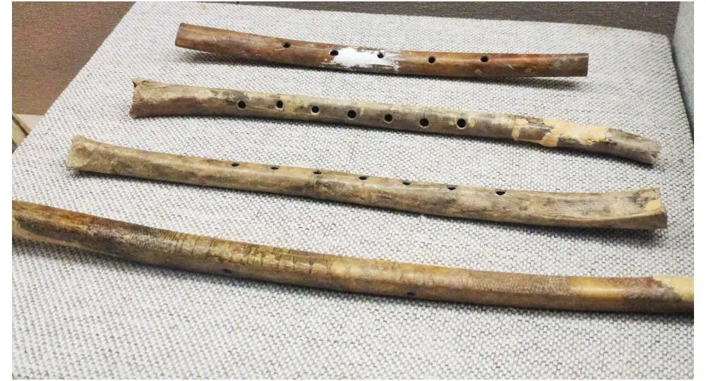 Abb 3Die ältesten Musikinstrumente Chinas Knochenflöten von Jiahu - фото 15