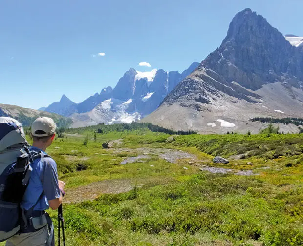 Ein Blick vom alpinen Hochland auf die Rockwall im Kootenay National Park - фото 43