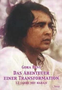 Gora Devi Das Abenteuer einer Transformation обложка книги