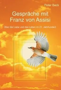 Peter Beck Gespräche mit Franz von Assisi обложка книги