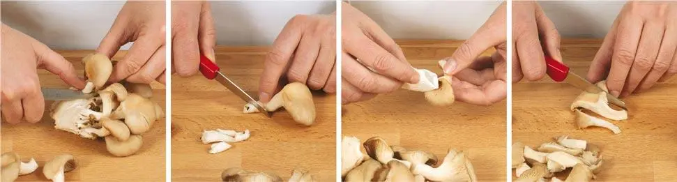 1 Pilze mit einem kleinen Messer von der Kolonie trennen 2 Vom Ende des - фото 2