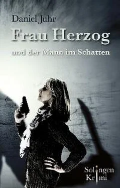 Daniel Juhr Frau Herzog und der Mann im Schatten обложка книги