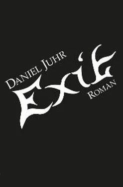 Daniel Juhr Exit обложка книги