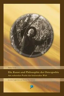 Robert Lever Die Kunst und Philosophie der Osteopathie обложка книги