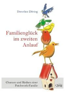 Dorothee Döring Familienglück im zweiten Anlauf обложка книги