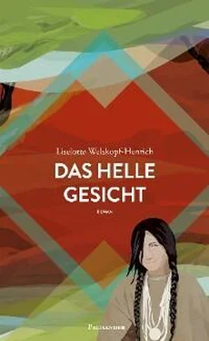 Liselotte Welskopf-Henrich Das helle Gesicht обложка книги