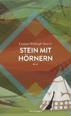 Liselotte Welskopf-Henrich Stein mit Hörnern обложка книги