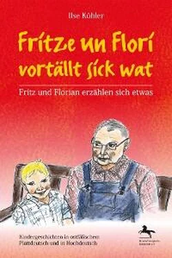 Ilse Köhler Fritze un Flori vortällt sick wat - Fritz und Florian erzählen sich etwas обложка книги