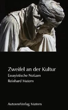 Reinhard Matern Zweifel an der Kultur обложка книги