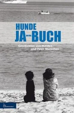 Mariposa Verlag HUNDE JA-HR-BUCH EINS обложка книги