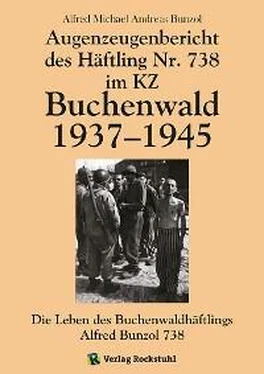 Alfred Michael Andreas Bunzol Augenzeugenbericht des Häftling Nr. 738 im KZ Buchenwald 1937–1945 обложка книги