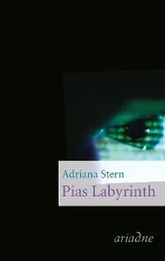 Adriana Stern Pias Labyrinth обложка книги