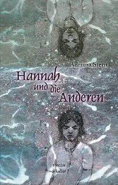 Adriana Stern Hannah und die Anderen обложка книги