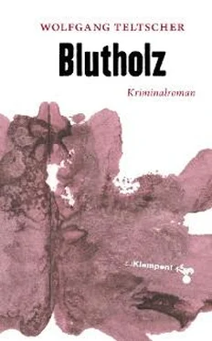 Wolfgang Teltscher Blutholz обложка книги