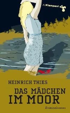 Heinrich Thies Das Mädchen im Moor обложка книги