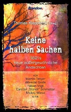 Thomas Klappstein (Hrsg.) Keine halben Sachen обложка книги
