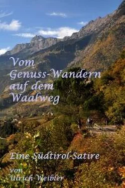 Ulrich Weibler Vom Genusswandern auf dem Waalweg обложка книги