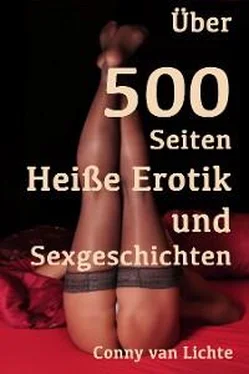 Conny van Lichte Über 500 Seiten Heiße Erotik und Sexgeschichten обложка книги