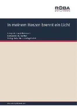 L. Meyer In meinem Herzen brennt ein Licht обложка книги