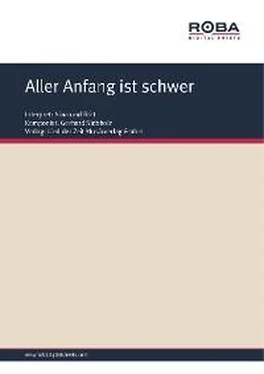 Dieter Schneider Aller Anfang ist schwer обложка книги