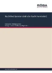 Jochen Petersdorf - Nachtlied (wieder sinkt die Nacht hernieder)
