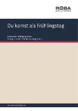 Wolfgang Kähne Du kamst als Frühlingstag обложка книги