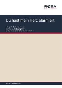 Wolfgang Kähne Du hast mein Herz alarmiert обложка книги