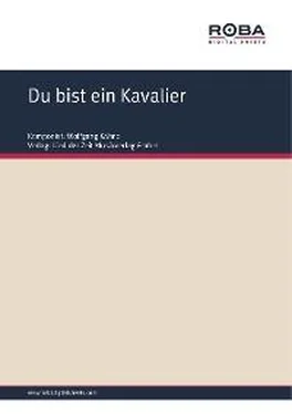 Wolfgang Kähne Du bist ein Kavalier обложка книги