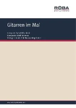 Dieter Schneider Gitarren im Mai обложка книги