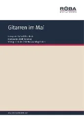 Dieter Schneider - Gitarren im Mai