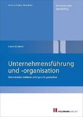 Prof. Evelin Schmidt Unternehmensführung und -organisation обложка книги