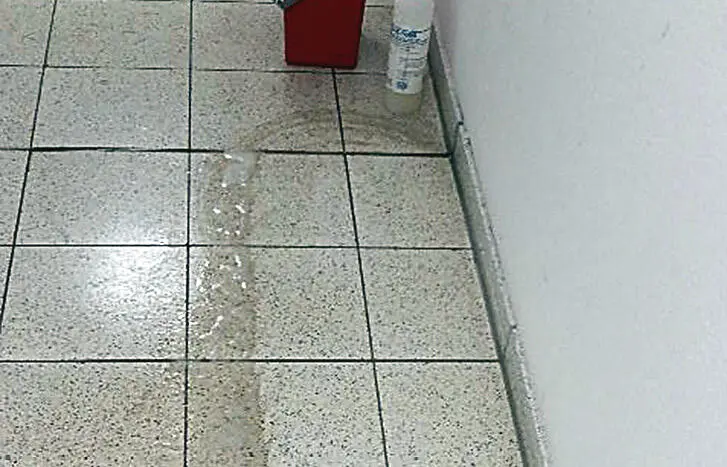 Bild 2 Da hilft nur noch eine Grundreinigung unter Zuhilfenahme eines - фото 8