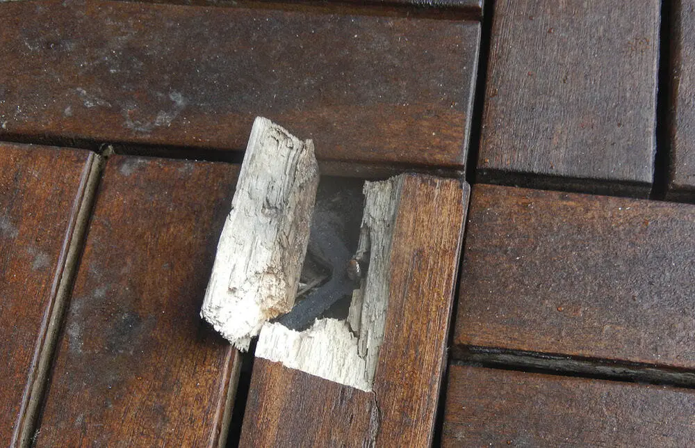 Nach drei Jahren sind die Holzfliesen stark verwittert und an vielen Stellen - фото 3
