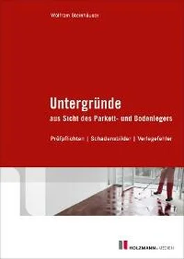 Wolfram Steinhäuser Untergründe aus Sicht des Parkett- und Bodenlegers обложка книги