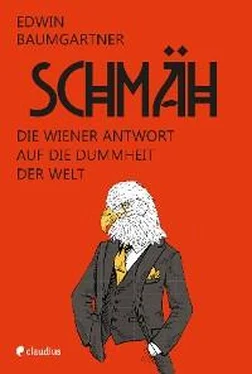 Edwin Baumgartner Schmäh обложка книги