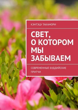 Кэнтэцу Такамори Свет, о котором мы забываем. Современные буддийские притчи обложка книги