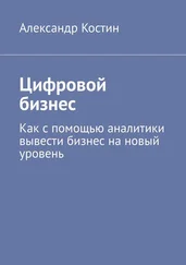 Александр Костин - Цифровой бизнес. Как с помощью аналитики вывести бизнес на новый уровень
