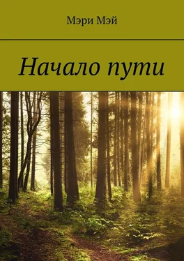 Мэри Мэй Начало пути обложка книги