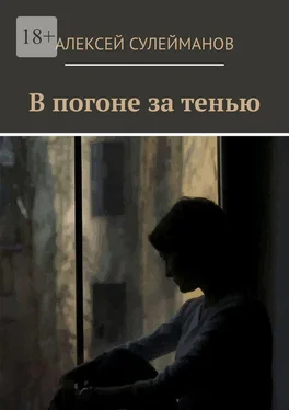 Алексей Сулейманов В погоне за тенью обложка книги