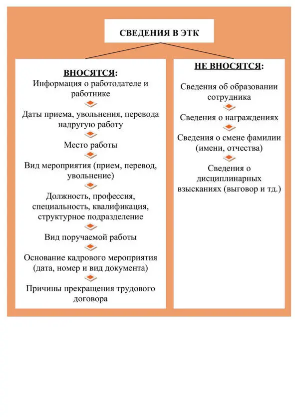 От сведений в бумажной трудовой книжке информация в ЭТК практически ничем не - фото 3