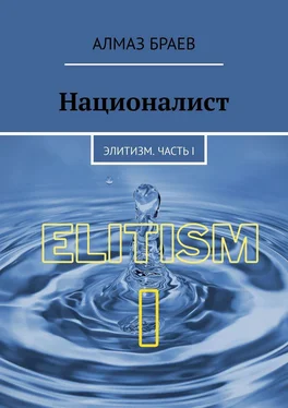 Алмаз Браев Националист. Элитизм. Часть I обложка книги