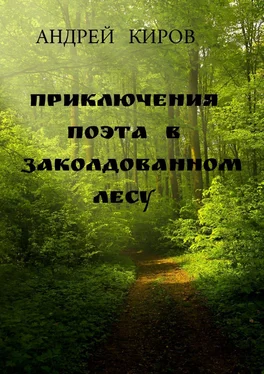 Андрей Киров Приключения поэта в заколдованном лесу обложка книги