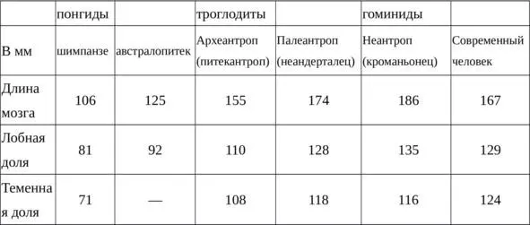 Отмечается очень большой размер затылочной области и маленькие размеры области - фото 5