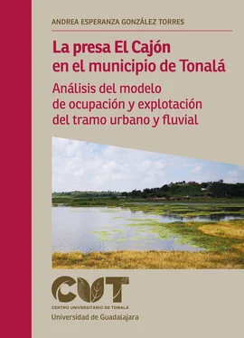 Andrea Esperanza González Torres La presa El Cajón en el municipio de Tonalá обложка книги