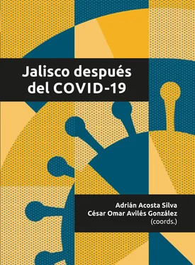 Antonio Sánchez Bernal Jalisco después del COVID-19 обложка книги